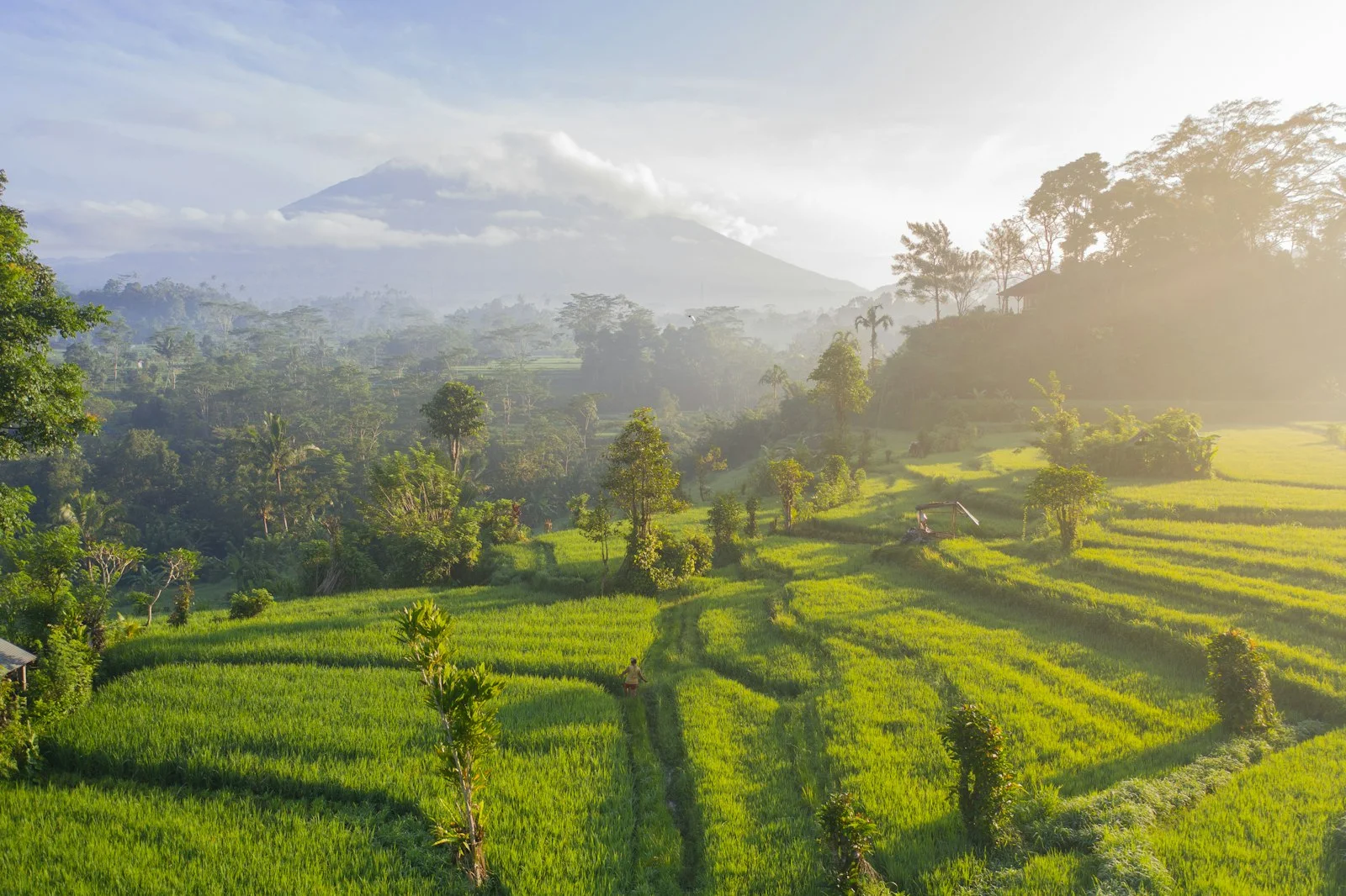 Scenic Bali Landscape